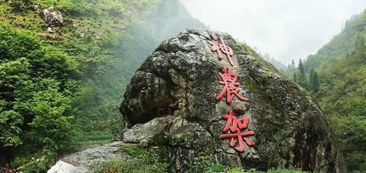任天堂switch?,专业解决您的疑问